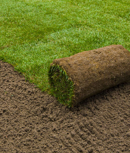 Sod Roll Installation