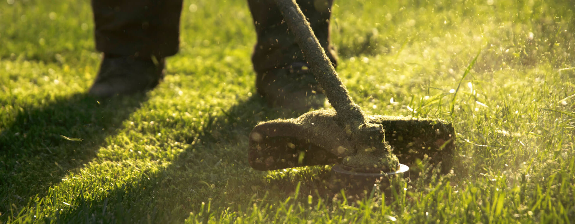 About Pioneer Landscaping