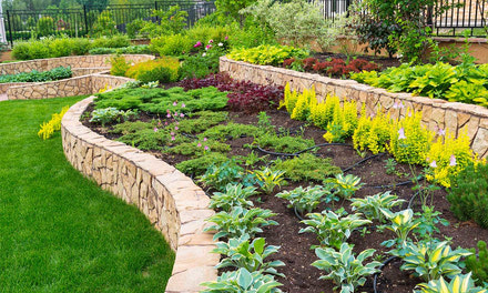 Landscaping