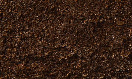Screened Topsoil